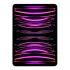 Apple iPad Pro 4th Gen 11" M2 Chip Liquid Retina Display 256GB Wi-Fi + Cellular Space Gray 2022